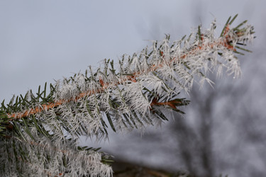 Similar image 21648250