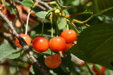 Similar image 21648251