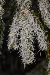 Similar image 21648254