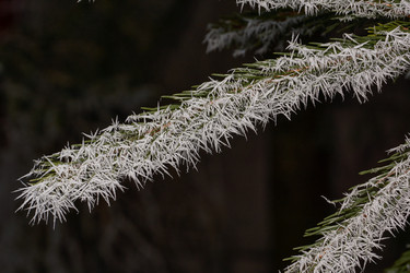 Similar image 21648256