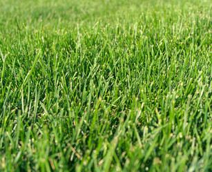 Similar image 21648091