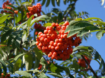 Similar image 21648098