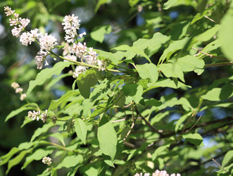 Similar image 21648119