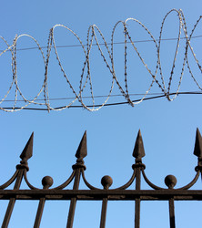 Similar image 21648123