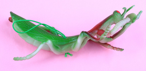 Similar image 21648127