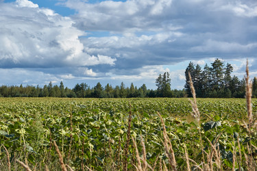 Similar image 21648259