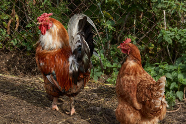 Similar image 21647776