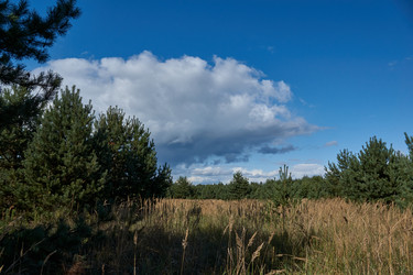 Similar image 21648262