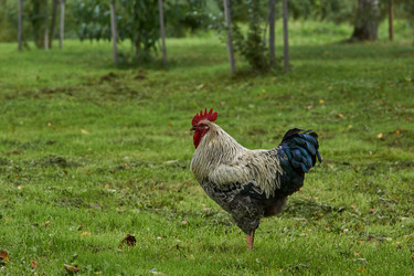 Similar image 21648263