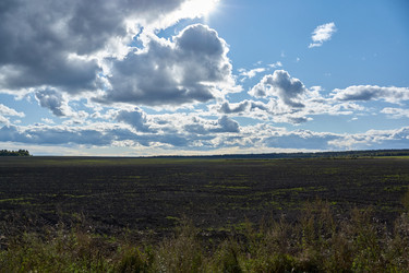 Similar image 21648264