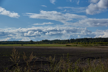 Similar image 21648266