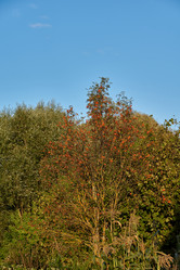 Similar image 21648268