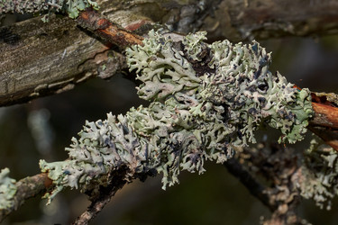 Similar image 21648289