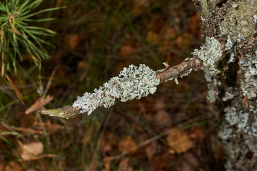 Similar image 21648291