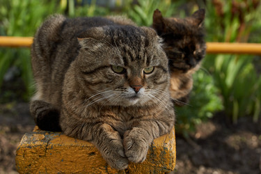 Similar image 21648292