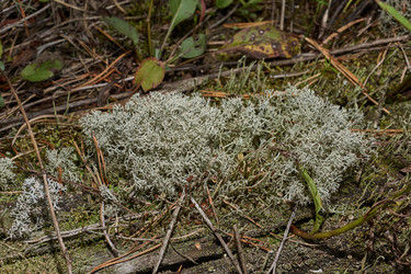 Similar image 21648296