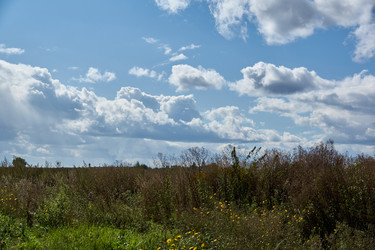 Similar image 21648301