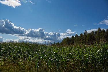 Similar image 21648303