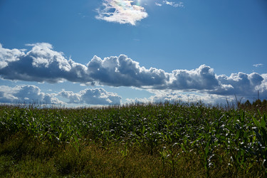 Similar image 21648304