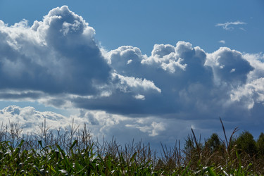 Similar image 21648308