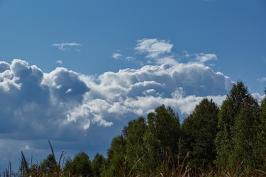 Similar image 21648310