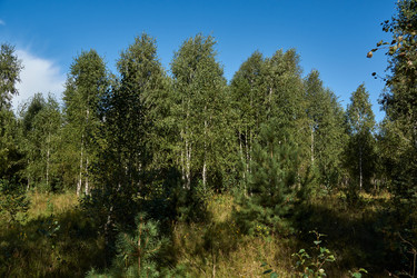 Similar image 21648313