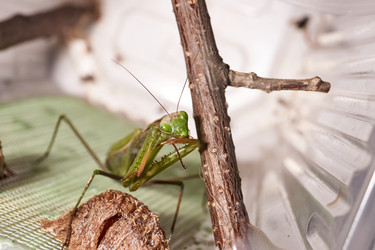 Similar image 21648316