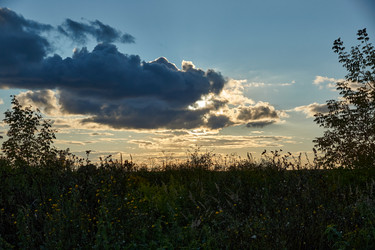 Similar image 21648318