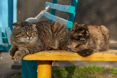 Similar image 21648319