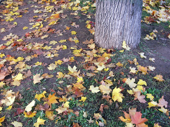 Similar image 21650971