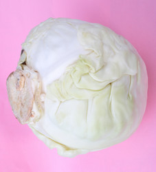 Similar image 21650975