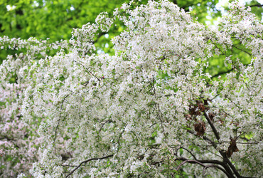 Similar image 21650979