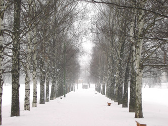 Similar image 21650604