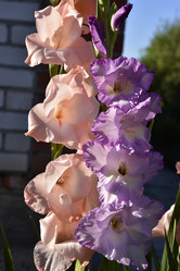 Similar image 21648136