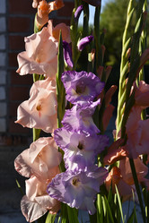 Similar image 21648137