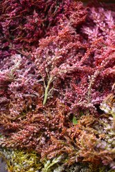 Similar image 21648138