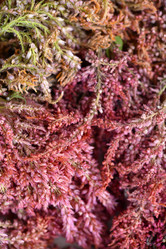 Similar image 21648140