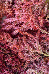 Similar image 21648141