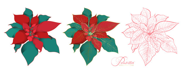 Similar image 21649664