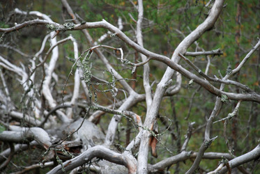 Similar image 21648755