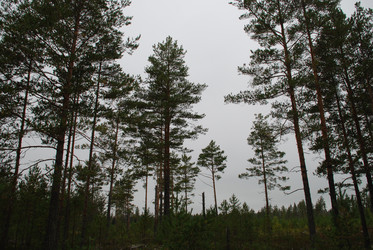 Similar image 21648761