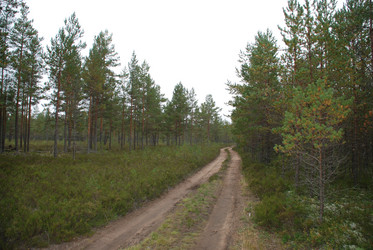 Similar image 21648765