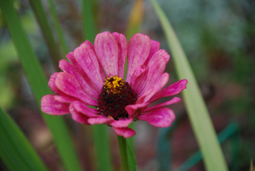 Similar image 21648767