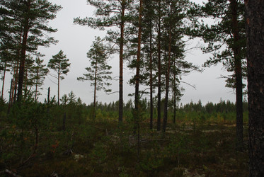 Similar image 21649023