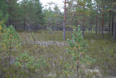 Similar image 21649025