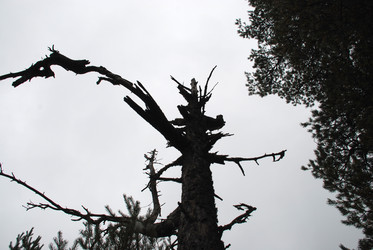 Similar image 21649027