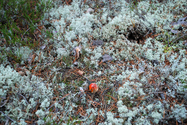 Similar image 21649032