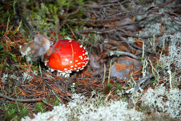 Similar image 21649033