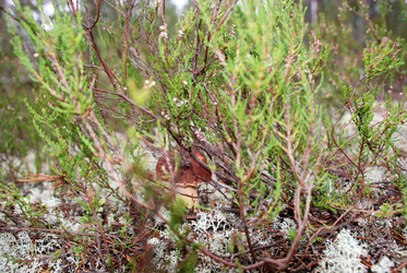 Similar image 21649037