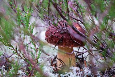 Similar image 21649038